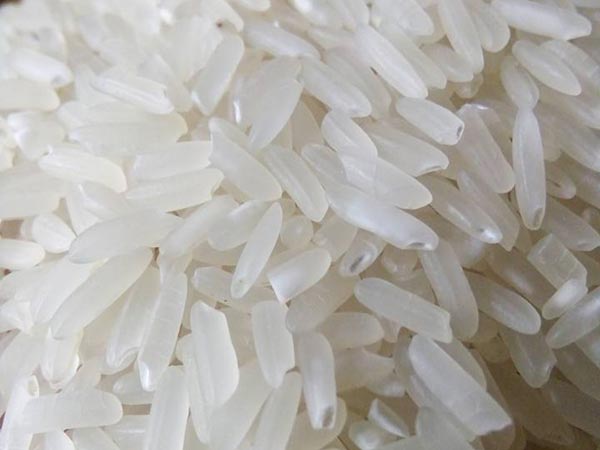 molino de arroz