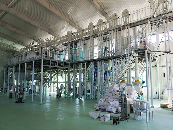 100T/D planta de molienda de harina